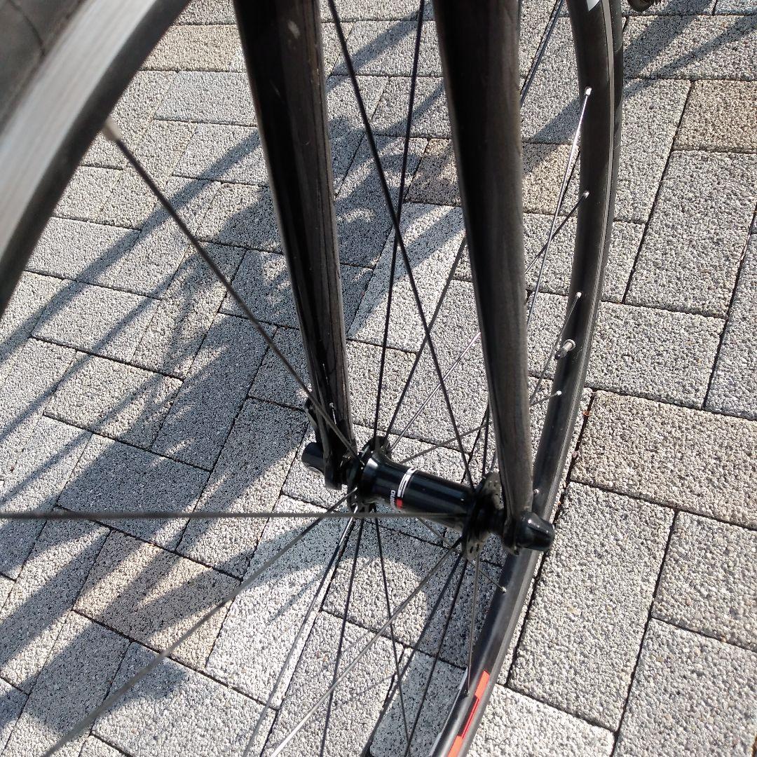 KhodaaBloom ファーナ クラリス　2023