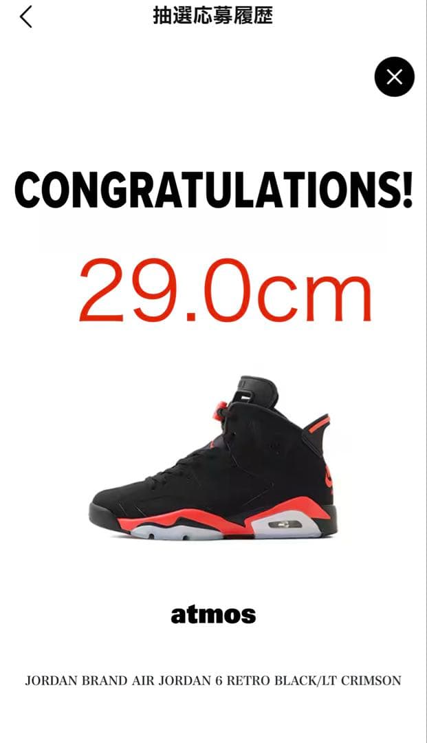エア ジョーダン 6 レトロ Infrared Salesman 29.0cm
