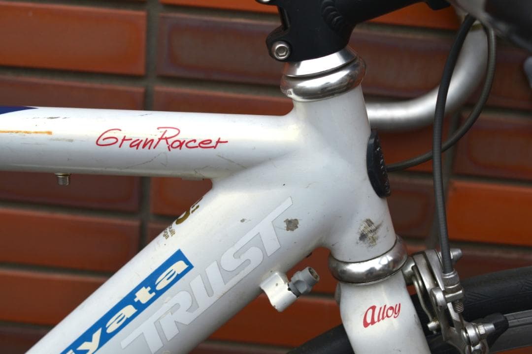 kogaMIYATA GranRacer にピストホイール組上シングルギアロード