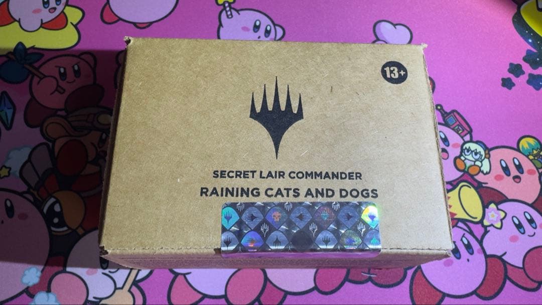 マジック：ザ・ギャザリング Secret Lair RAINING CATS AND DOGS