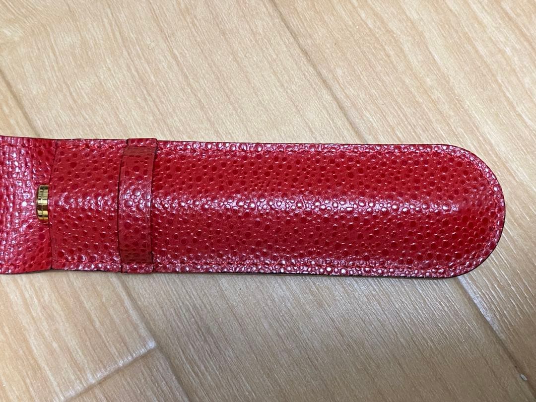 WATERMAN ウォーターマン 万年筆 ペンケース付き　インクなし