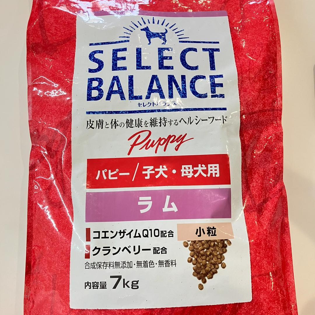 セレクトバランス◎パピー ラム 小粒 7kg