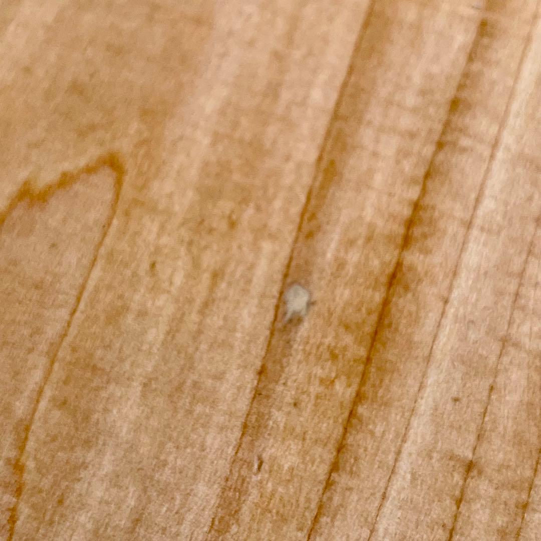 【日本製】Charvel Refinement⭐︎OIL Finish