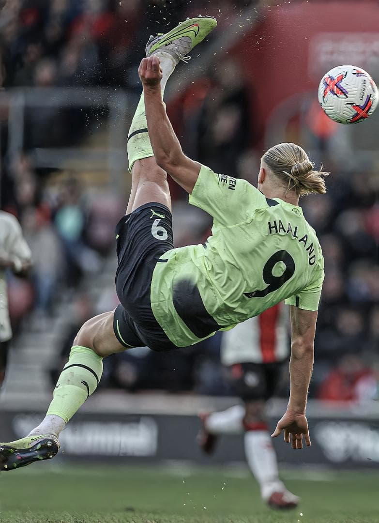 LeLis A3サイズポスター③セット