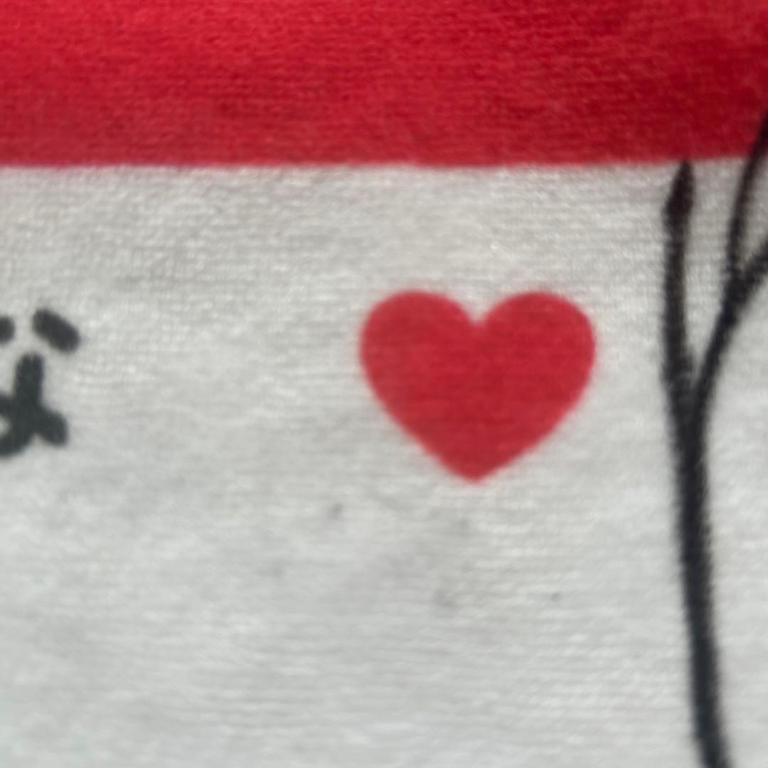 菅沼菜々プロ直筆サイン入り応援タオル