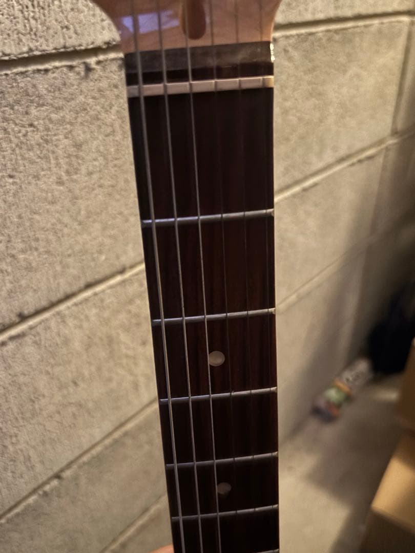 FERNANDES フェルナンデス ストラトキャスタータイプ エレキギター 黒