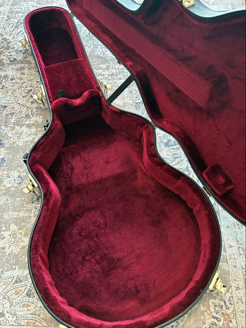 D'Aquisto Jazz Line JR / DiMarzio搭載