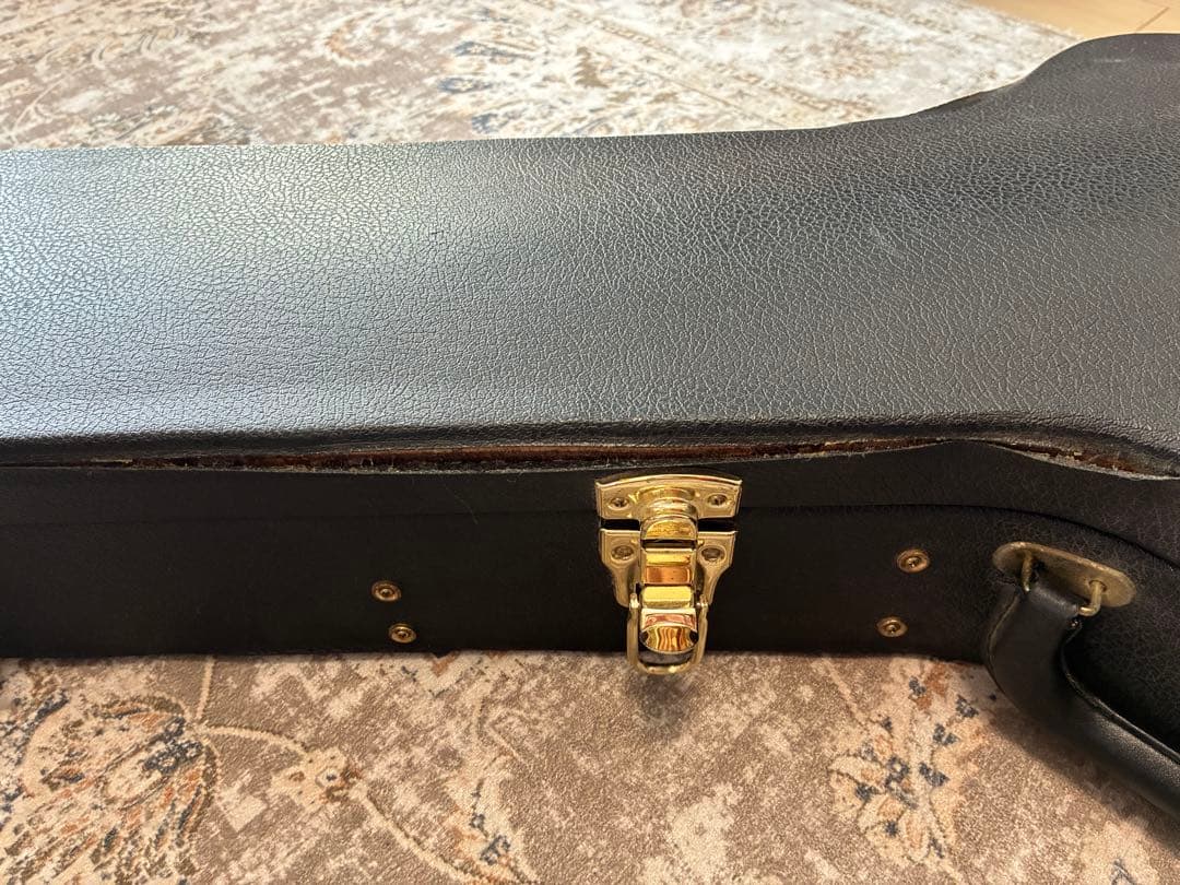 D'Aquisto Jazz Line JR / DiMarzio搭載