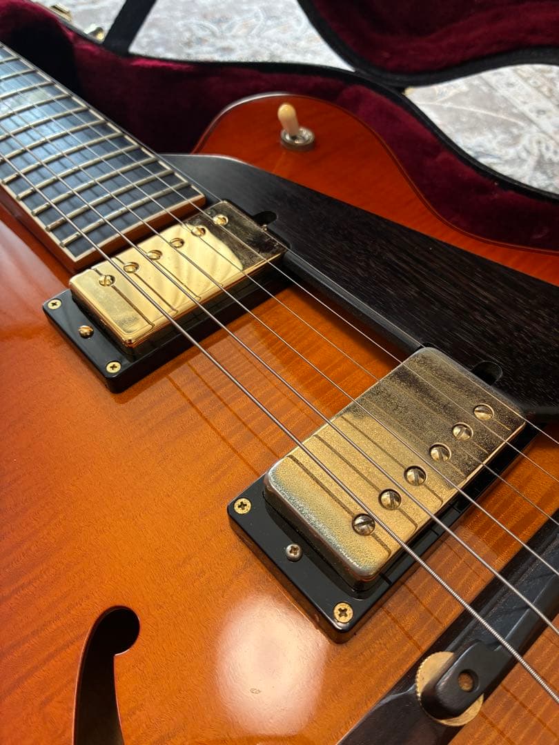 D'Aquisto Jazz Line JR / DiMarzio搭載