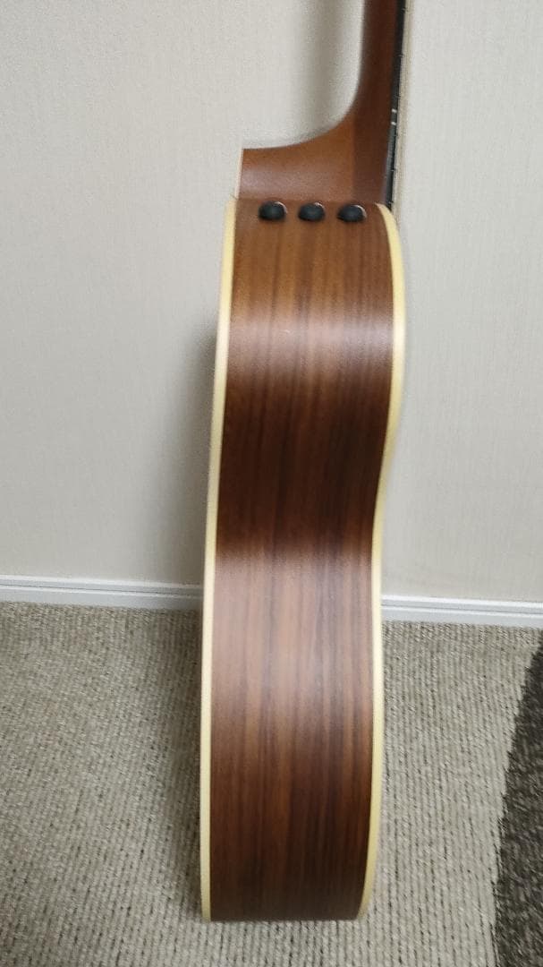 Taylor 214ce エレアコ アコースティックギター 純正ケース付き