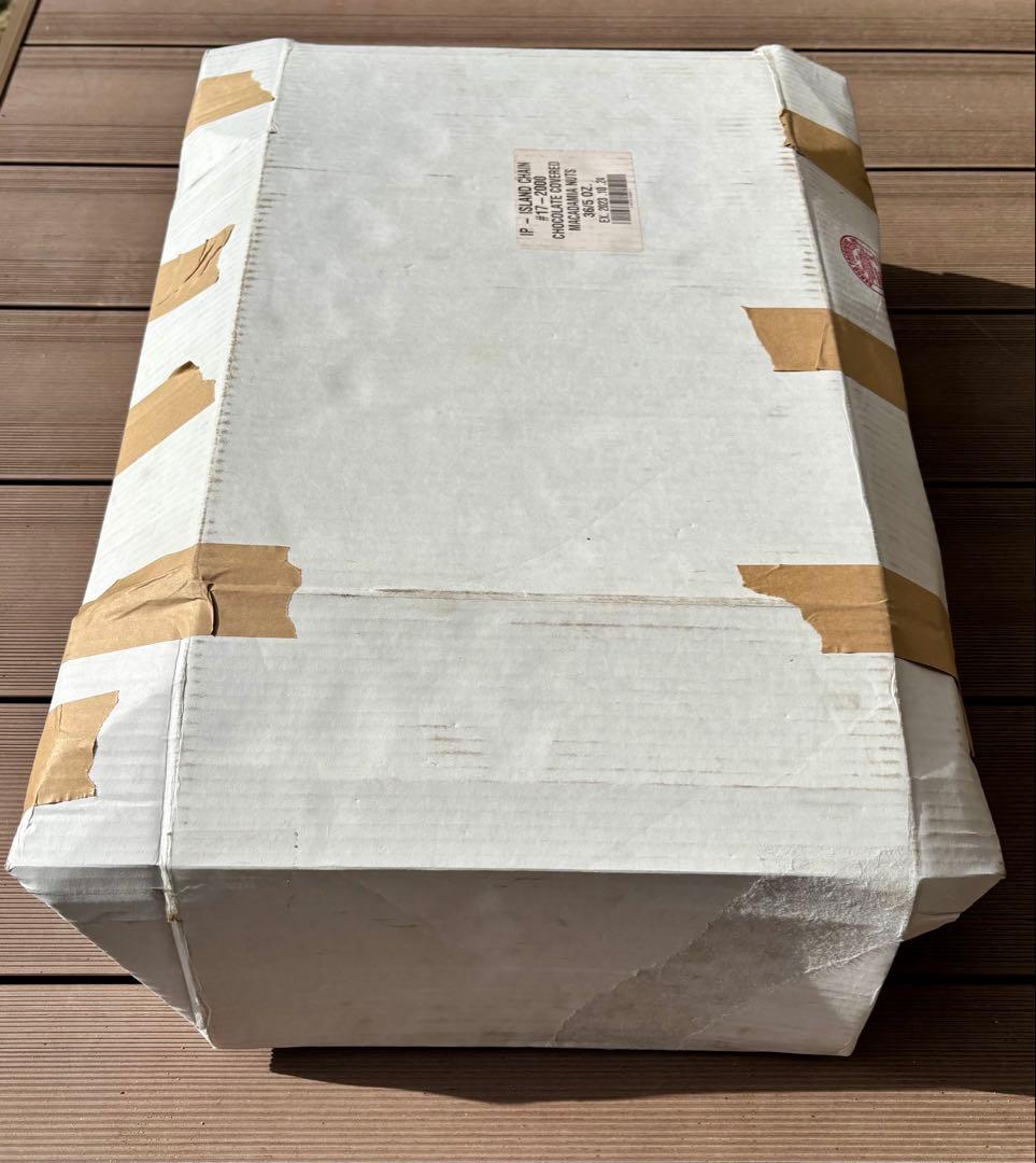 Burton バートン Wheelie Gig Board Bag