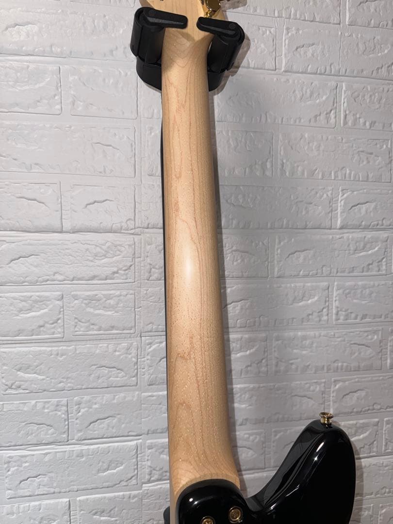 SCHECTER BC-AveMujica Doloris ドロリス 7弦ギター