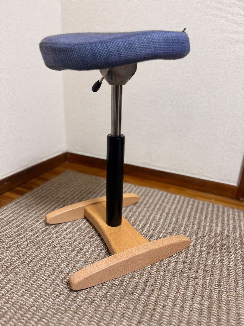 balans Synergy サイズ330mm + 358mm クッションチェア