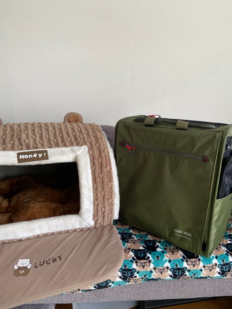 ペットキャリーバッグ & ペットハウス