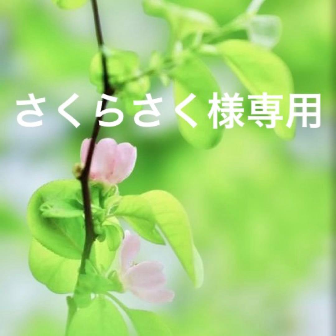 さくらさくページです。