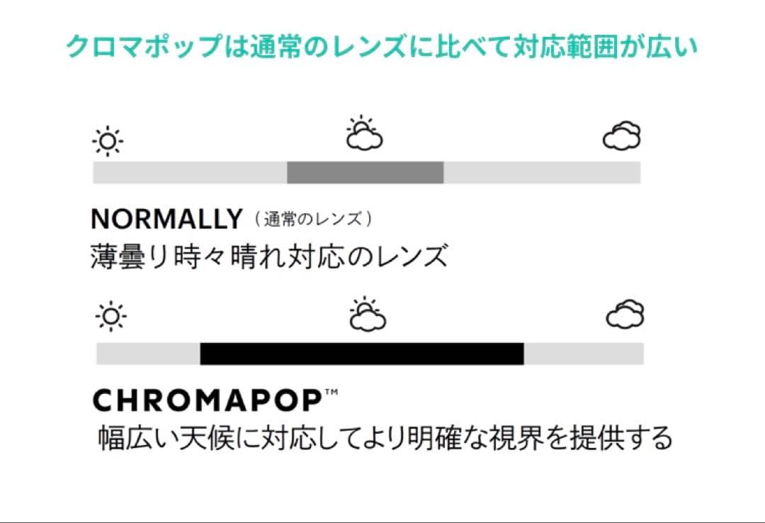 SMITH × TNF スミス SQUAD XL ノースフェイス ゴーグル 調光