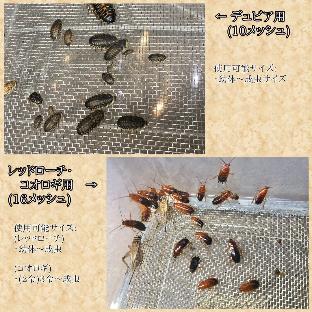 山岸哲也様　M (エ、水、シェ×2)