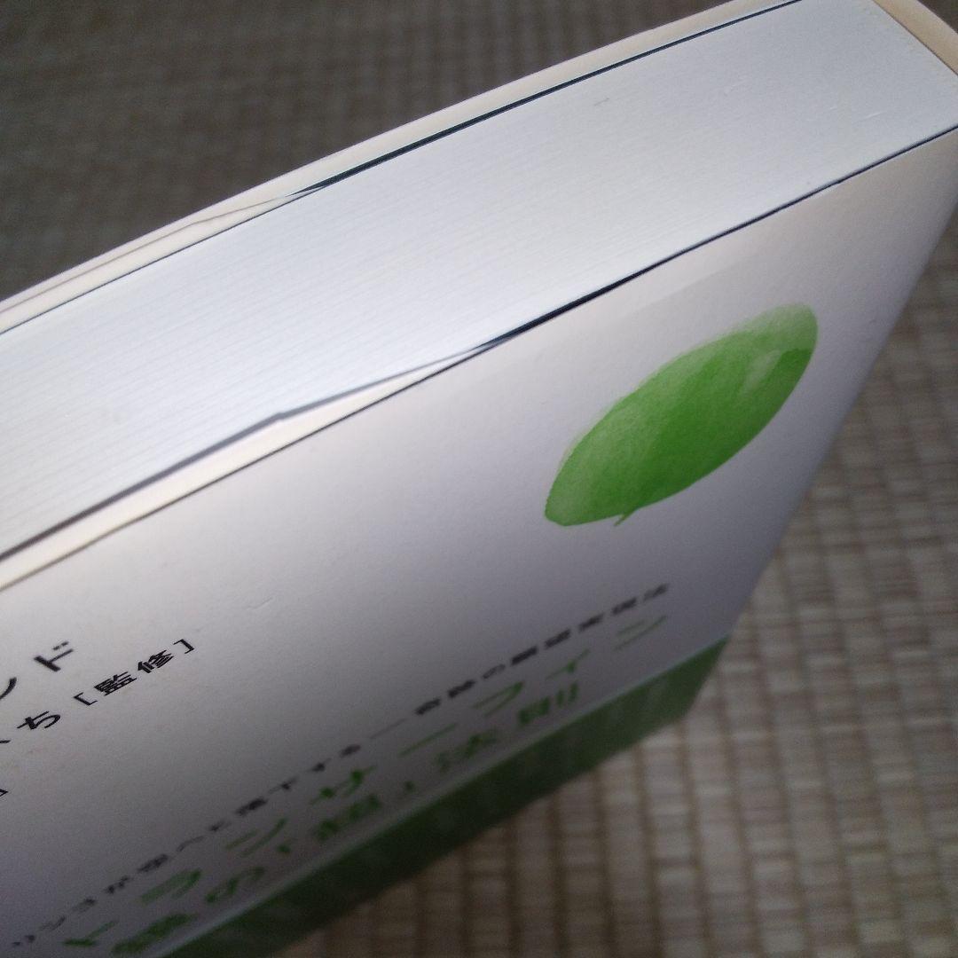 超スピリチュアルな夢実現　トランサーフィン　鏡の超法則　ヴァジム・ゼランド