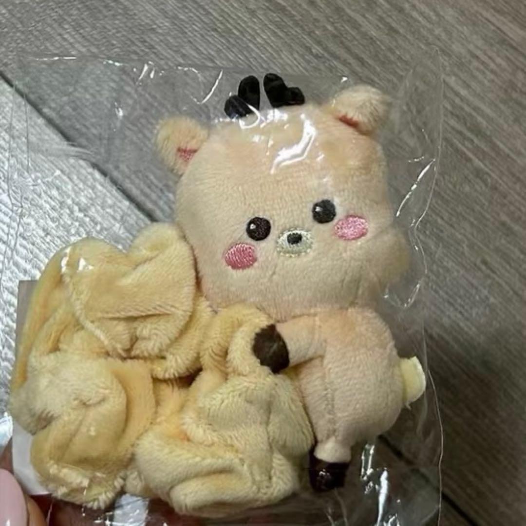 RIIZE ウラッバム ソンチャン シュシュ