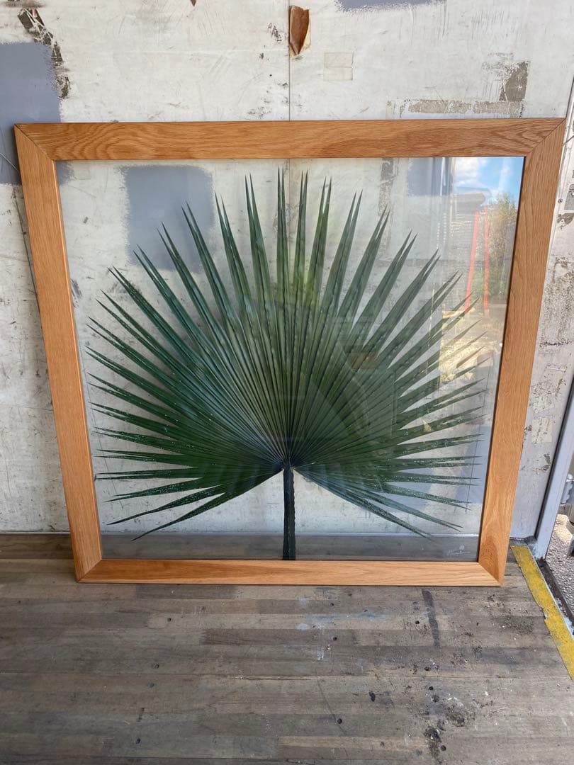 【希少＊限定品】jardin pamplemousse 植物アート 木製フレーム