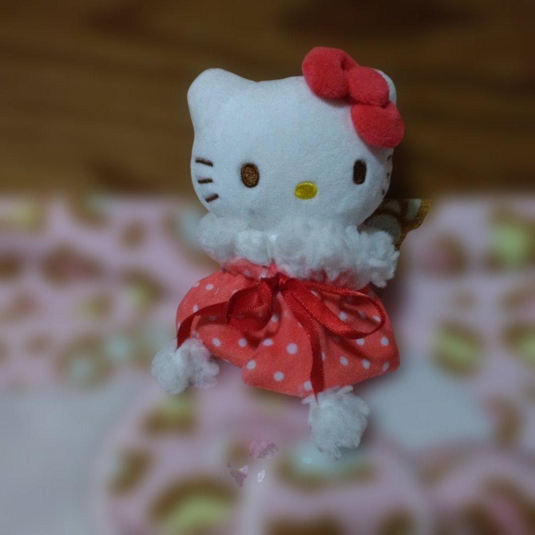 超激レア‼️希少‼️プレミア‼️着せ替えキティ‼️可愛い着ぐるみです